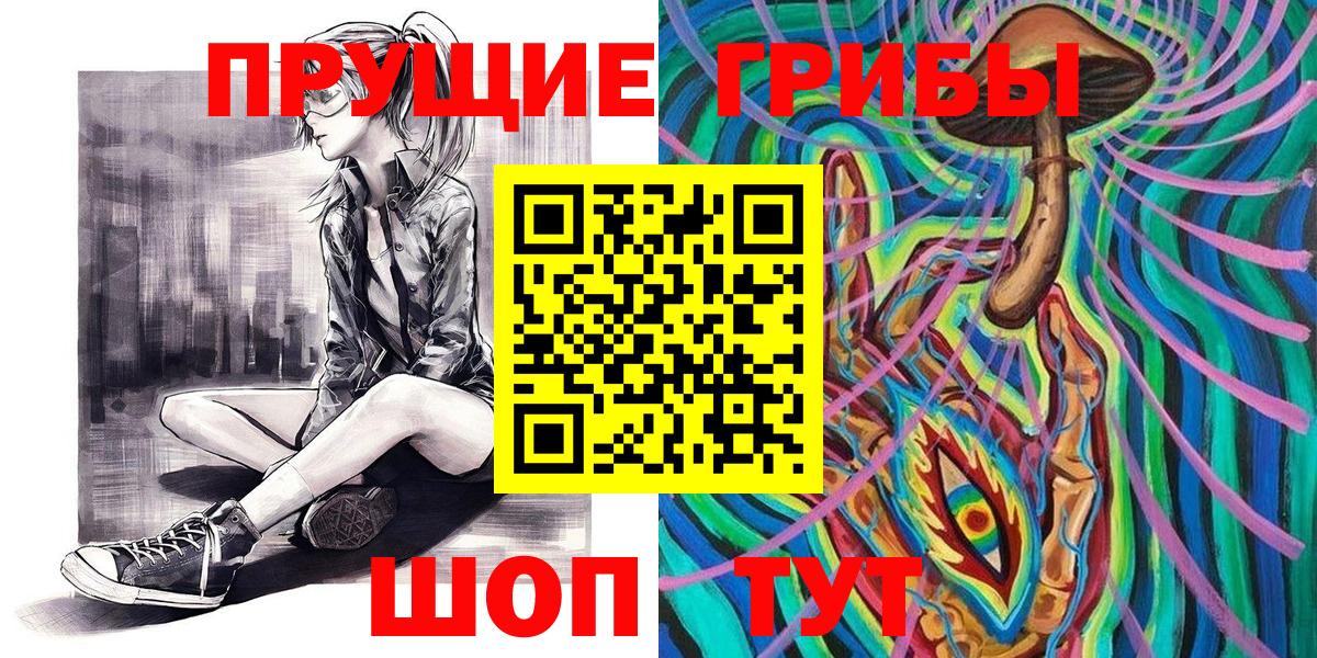 Псилоцибиновые грибы GOLDEN TEACHER Тула