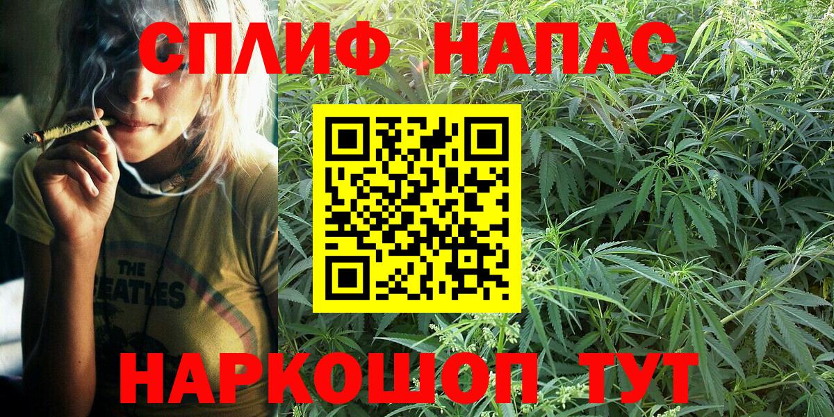 Конопля планчик Тула